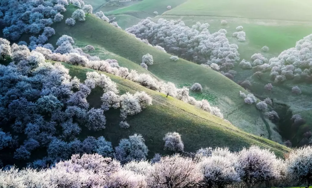 春季國外旅遊 春季國外旅遊