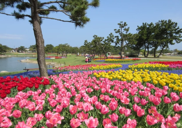 福岡自駕遊景點 福岡自駕遊景點