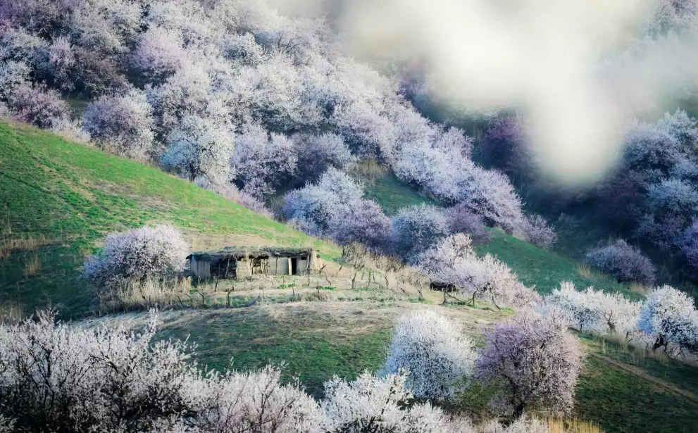 四月旅遊國家推薦 四月旅遊國家推薦