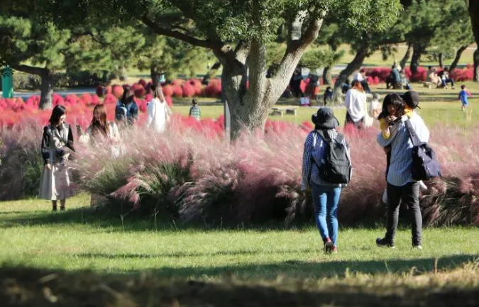 福岡夏天旅遊 福岡夏天旅遊