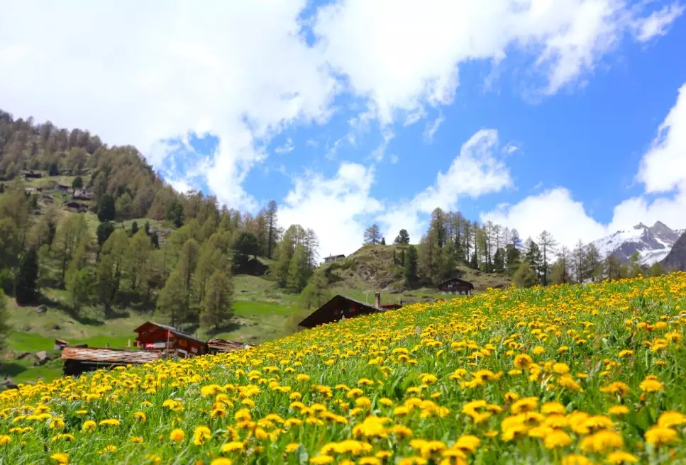 瑞士行程規劃 瑞士行程規劃