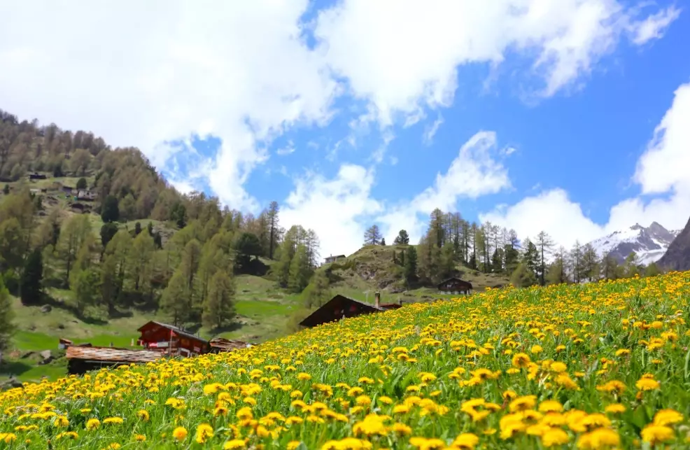 瑞士自由行費用香港