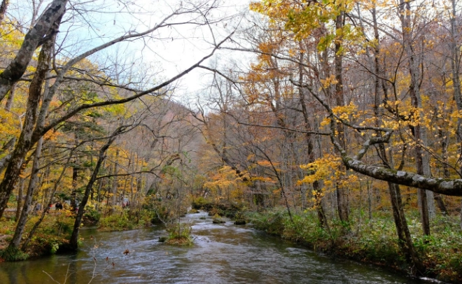 福岡旅遊景點 福岡旅遊景點