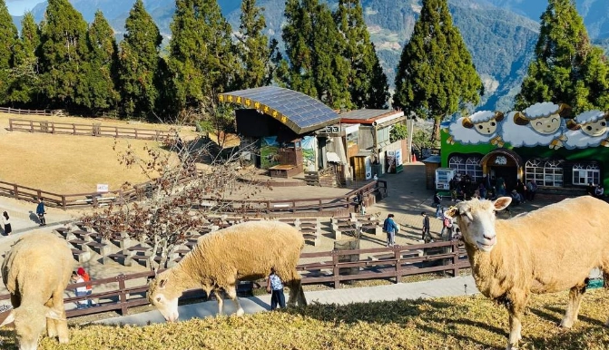 台中休閒農場 台中休閒農場