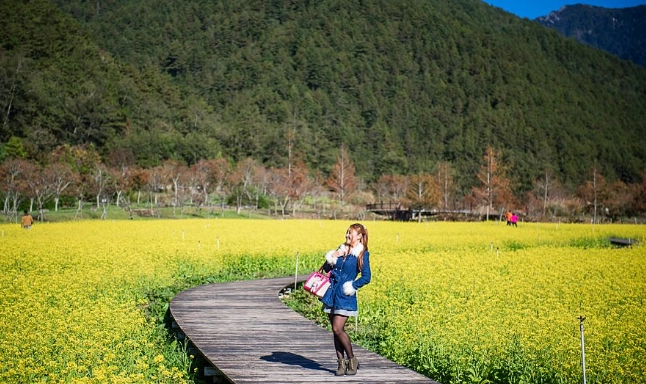 台中農場推薦 台中農場推薦