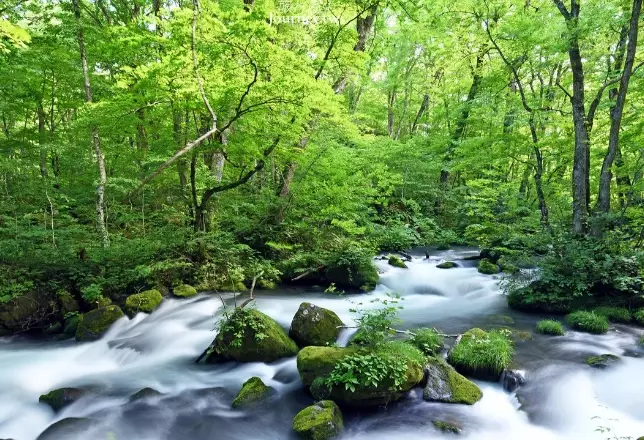 奧入瀨溪 旅遊攻略 奧入瀨溪 旅遊攻略