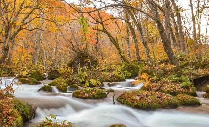 奧入瀨溪 自由行 奧入瀨溪 自由行