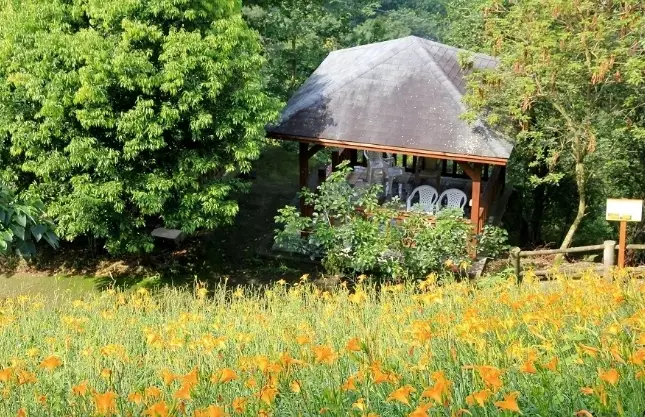 台中農場推薦 台中農場推薦