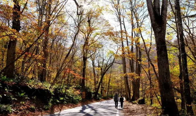 福岡旅遊景點 福岡旅遊景點