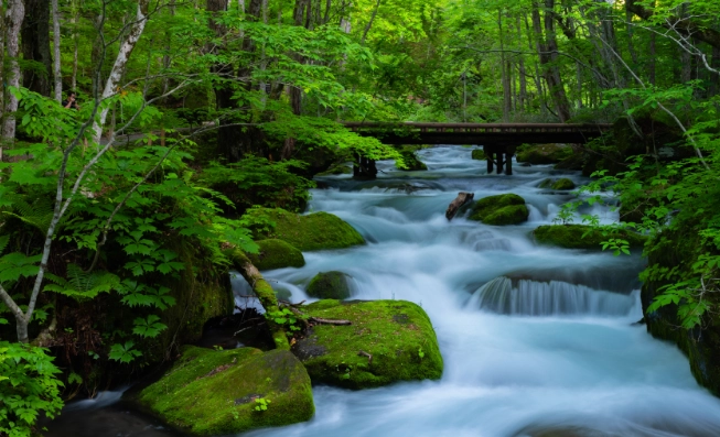 奧入瀨溪流 玩法 奧入瀨溪流 玩法