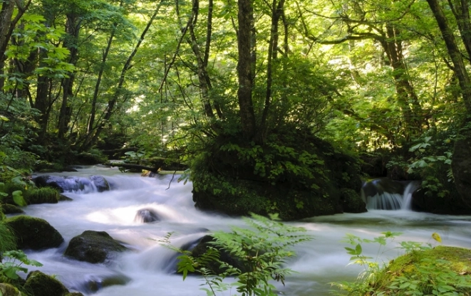 奧入瀨溪 旅遊攻略 奧入瀨溪 旅遊攻略