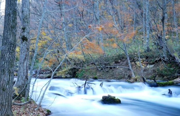 奧入瀨溪 自由行 奧入瀨溪 自由行