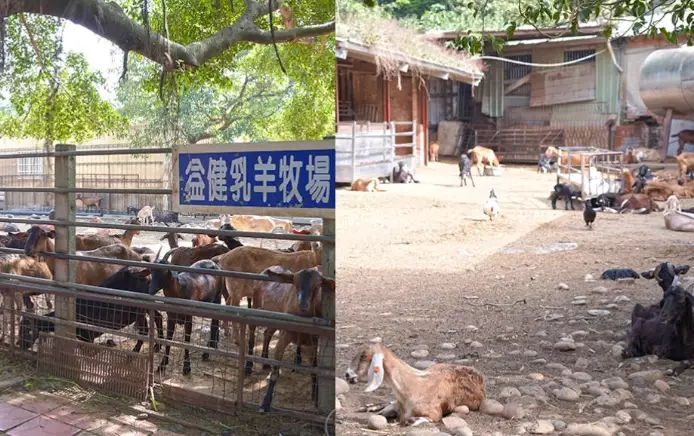 台中休閒農場 台中休閒農場