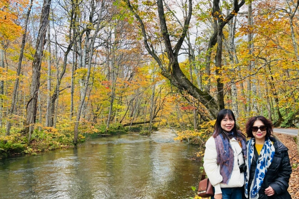 奧入瀨溪流 玩法 奧入瀨溪流 玩法