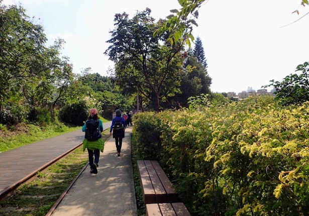 桃林步道交通 桃林步道交通