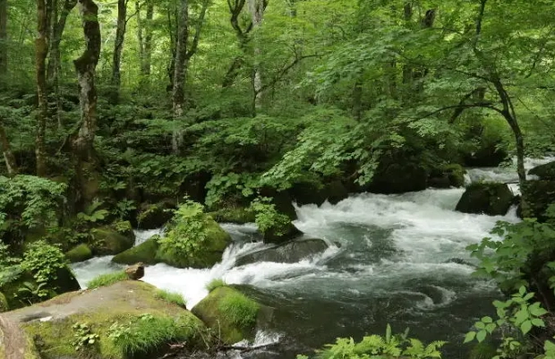 奧入瀨溪流住宿