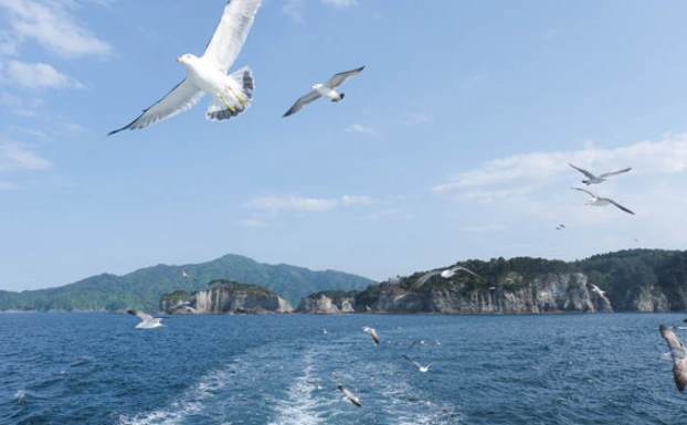 淨土之濱 遊覽船 淨土之濱 遊覽船