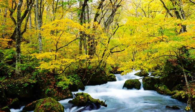 青森到奧入瀨溪流