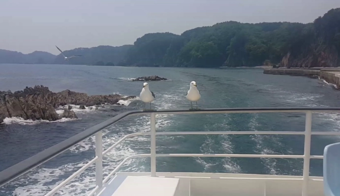 淨土之濱 船票 淨土之濱 船票