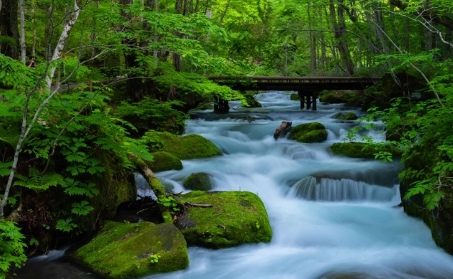 奧入瀨溪交通 奧入瀨溪交通