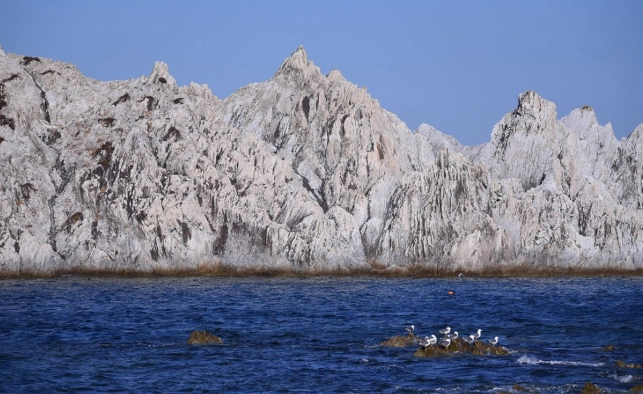花蓮淨土之濱旅遊
