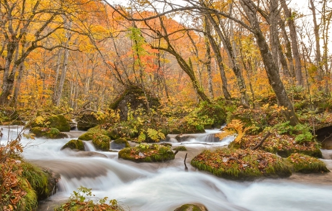 奧入瀨溪流住宿