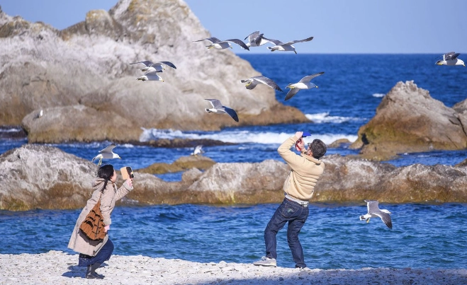 台灣海岸行程規劃