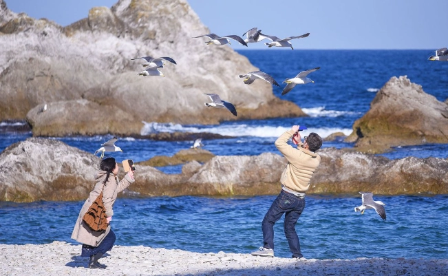 淨土之濱交通 淨土之濱交通