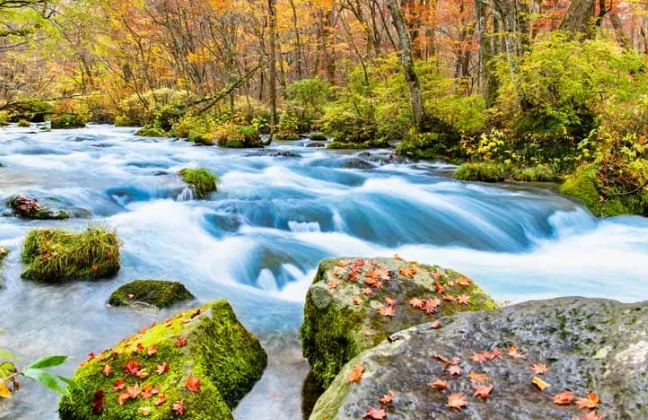 奧入瀨溪流巴士