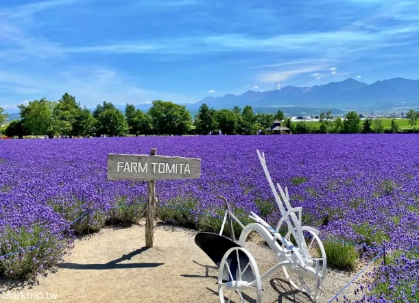 富田農場 附近 用餐 富田農場 附近 用餐
