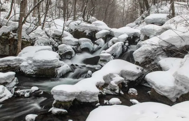 奧入瀨溪交通 奧入瀨溪交通