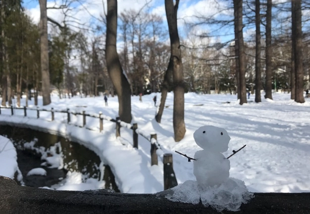 北海道冬天旅遊