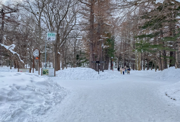 札幌圓山公園冬天