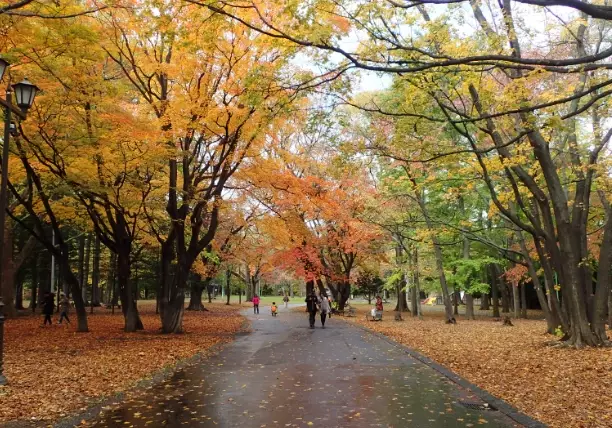圓山公園 秋季觀光