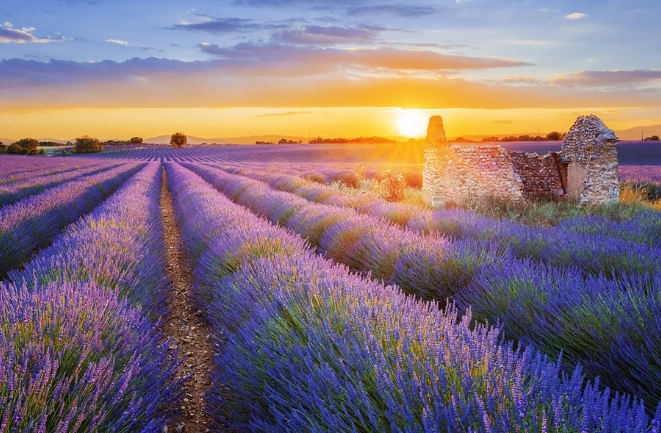 普羅旺斯交通 普羅旺斯交通