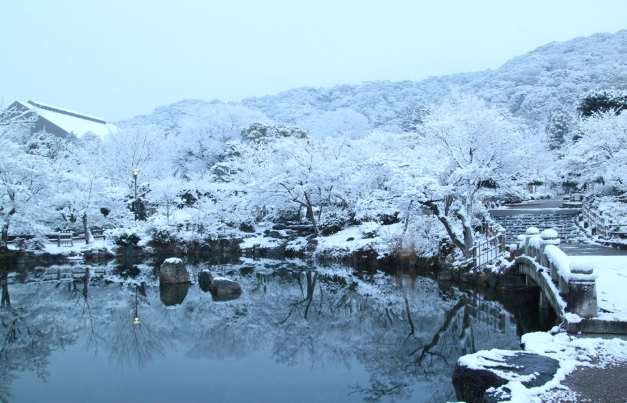 北海道冬天旅遊