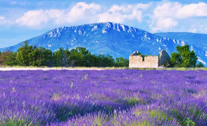 普羅旺斯自由行攻略