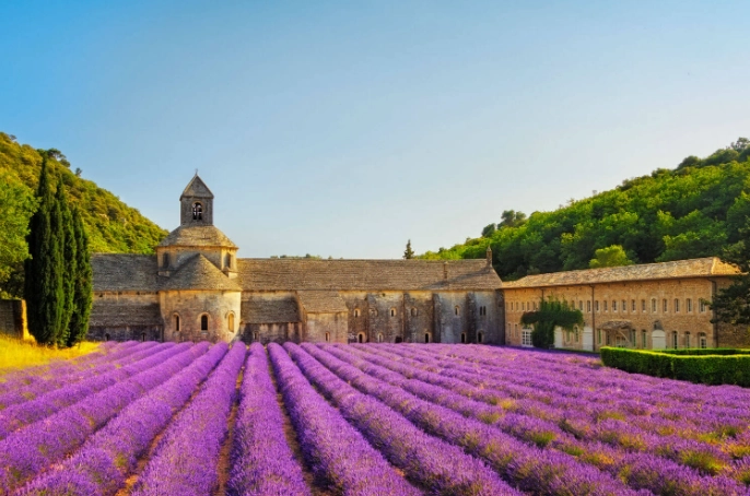 普羅旺斯行程 普羅旺斯行程
