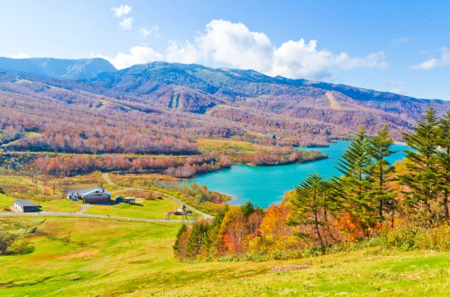 越後湯澤交通 越後湯澤交通