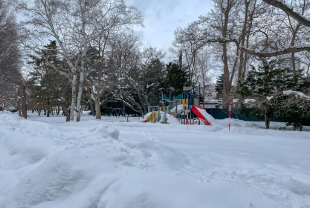 圓山公園雪景