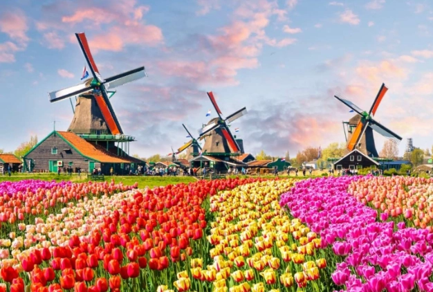 荷蘭自由行心得 荷蘭自由行心得