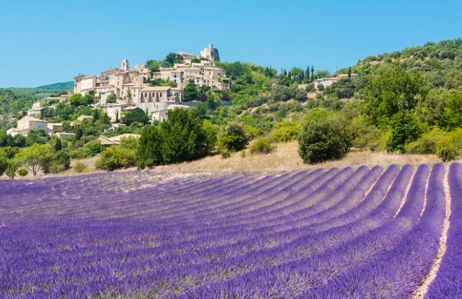 普羅旺斯最佳旅遊時間