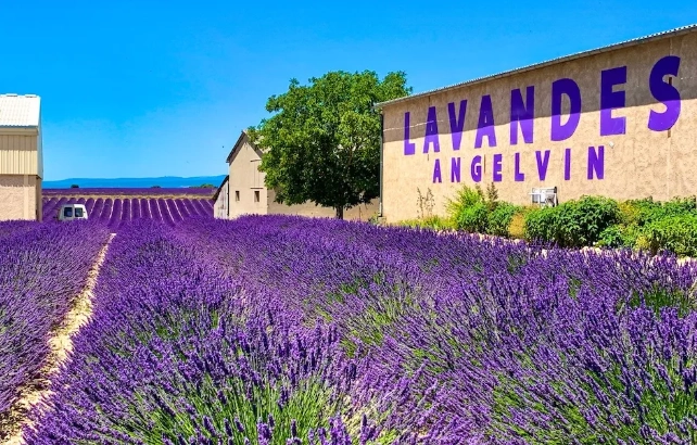 普羅旺斯行程規劃