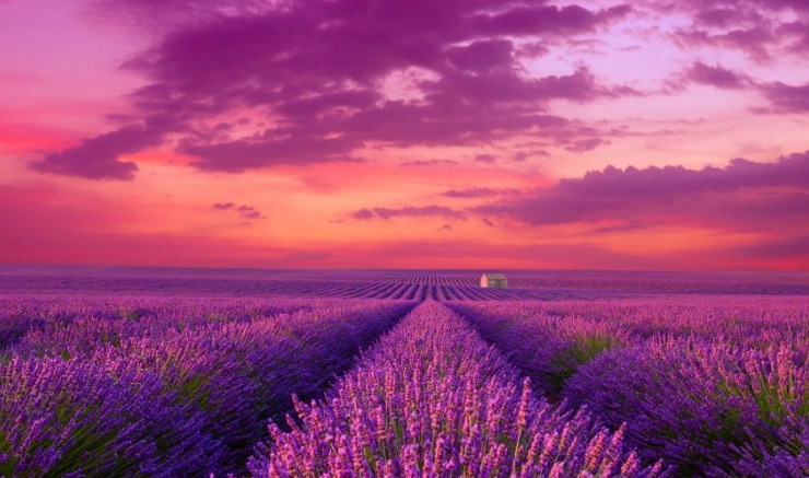 普羅旺斯行程規劃