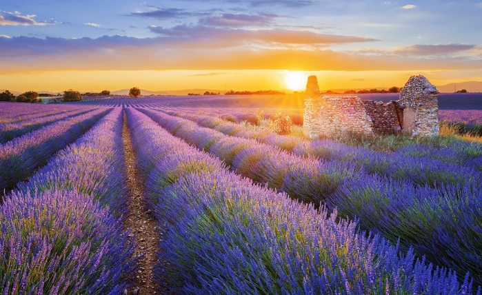 普羅旺斯自由行攻略