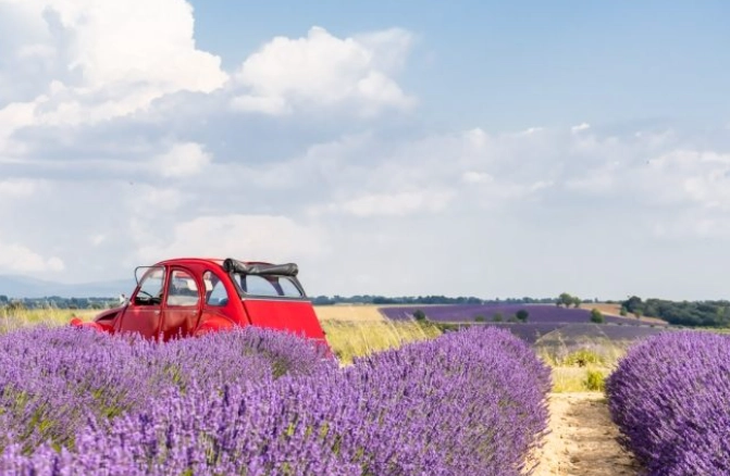 普羅旺斯最佳旅遊時間