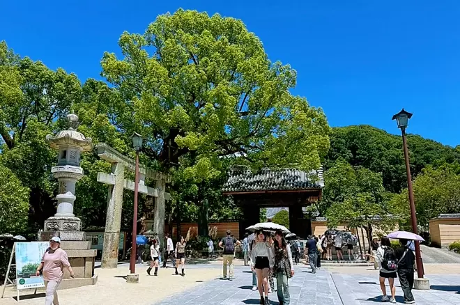 福岡 太宰府 旅遊 福岡 太宰府 旅遊