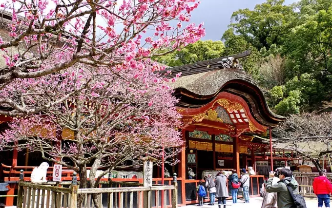 福岡 太宰府 旅遊 福岡 太宰府 旅遊