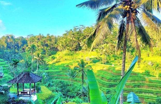 峇里島旅遊推薦 峇里島旅遊推薦