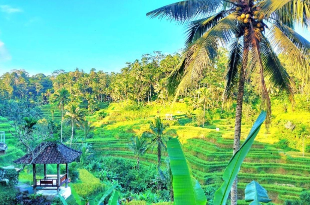 峇里島旅遊禁忌